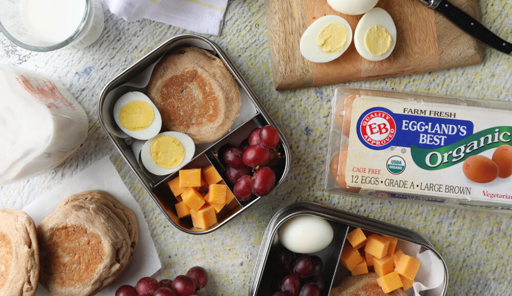 Egg Snack Box